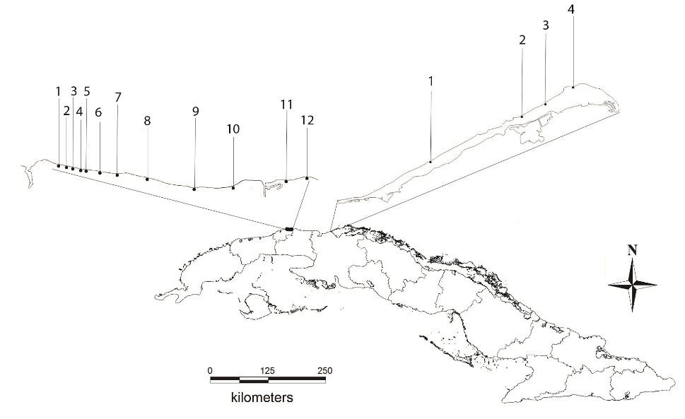 . Left: Sampling sites at Eastern Beaches. 1. Tarará. 2. Mégano. 3. Pino Mar. 4. Tropicoco West. 5. Tropicoco East. 6. Caribe Hotel. 7. Atlántico Hotel. 8. Itabo. 9. Boca Ciega Cancha. 10. Guanabo. 11. Veneciana. 12. Brisas del Mar. Right: Sampling sites at Varadero Beach. 1. Street 52. 2. Aguas Azules Hotel. 3. Verde Hicaco Hotel. 4. Varahicaco Ecological Reserve