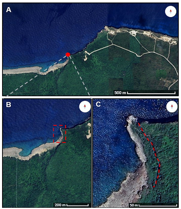 Mapas de la comunidad vegetal de carso sobre farallones costeros. A: en rojo en el ecosistema Punta Guanos. B: Punta Guanal. C: Farallón, recorrido realizado (- - -). Adaptados de Google por Celio E. Moya y Eily. K. Costales-Gandarilla.